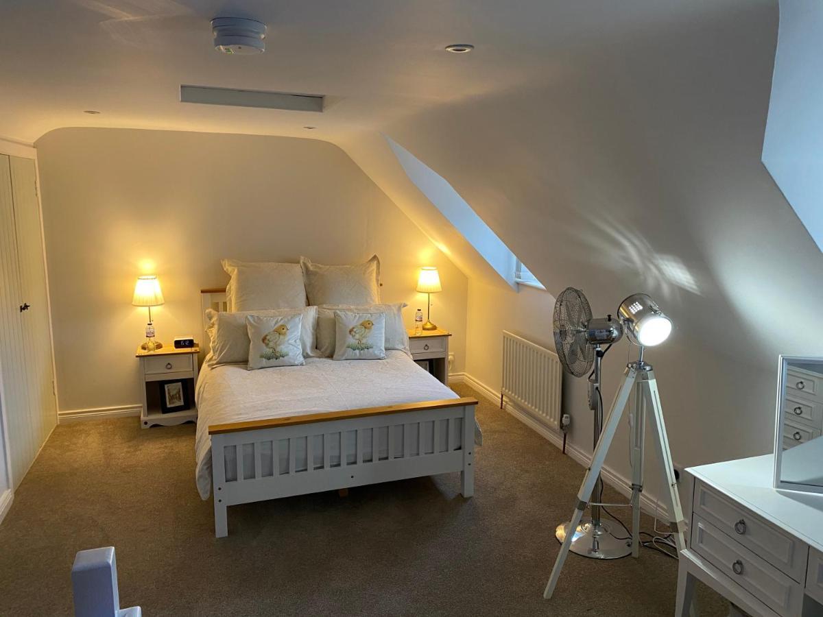 Arthur Street Guest Cottage 希尔斯伯勒 外观 照片